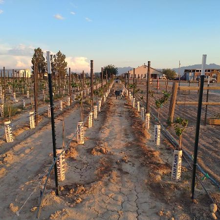 Black Star Ranch Vineyard Pahrump Exterior foto
